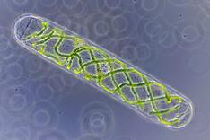 05005o65-47f7-234x156.jpg