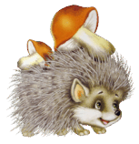 05005qgo-c0db-153x158.png