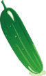 05005qr7-1f96-67x109.png