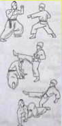 05005sam-153f-91x183.png
