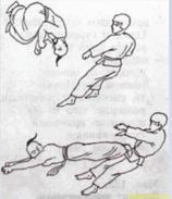 05005sdc-3a8c-158x183.png