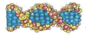 0500606z-c00a-285x127.png