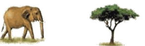 0500607q-c2c4-293x94.png