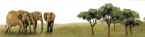 0500608c-b3cb-291x76.png