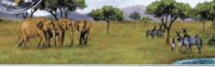 0500608t-0b4d-304x95.png