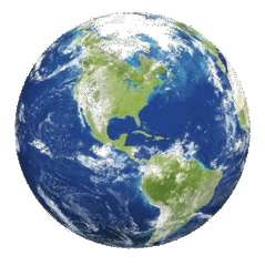 0500609c-af1d-239x240.png
