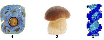 050060g6-d878-356x138.png