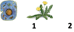 05006252-0ded-257x111.png