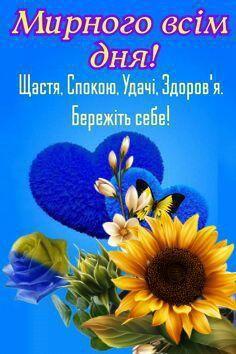 0500626w-ad9c-236x354.jpg