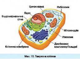 050063wu-1604-260x194.jpg