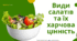 Види салатів та їх харчова цінність.