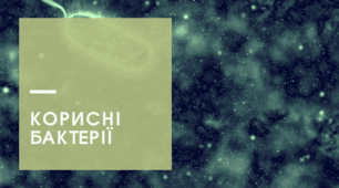 Презентація на тему "Корисні бактерії"