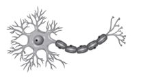 05006ic5-bc3f-206x114.png