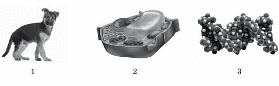 05006idi-12a3-568x175.png
