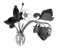 05006idy-1184-206x164.png