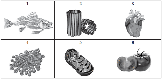 05006ij3-6aa0-525x259.png
