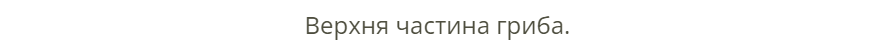 05006kh0-49a9-877x46.png