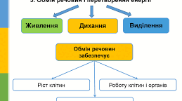 пар. 29 Чим живе відрізняється від неживого?