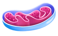 05006kvo-d777-228x143.png