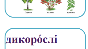 Стіна слів 1 клас ІІ семестр за підручником Т.Гільберг