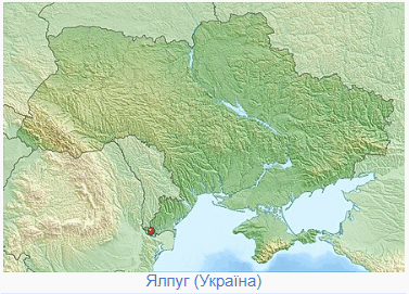 05006ryk-cc45-377x271.png