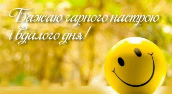 05006sf4-61f1-558x305.png
