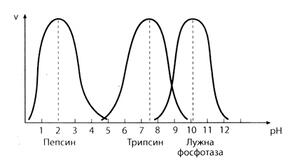 05006u3j-12bc-278x155.jpg
