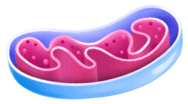 05006ulx-e68e-188x104.png