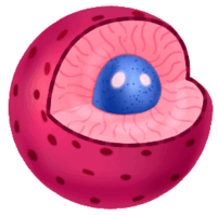 05006una-7559-201x199.png