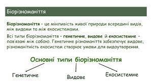 Біорізноманіття. Рівні біорізноманіття: молекулярне, генетичне, видове та екосистемне