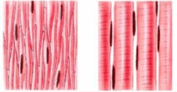 05006v32-0404-177x92.png