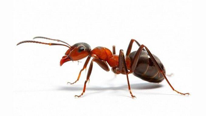05006vxf-7eae-678x381.jpg