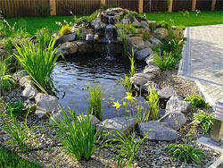 05006vy7-03d2-250x188.jpg
