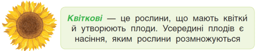 05006wb4-de81-524x105.png