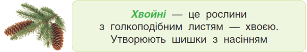05006wb5-3a64-603x102.png