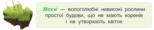 05006wb7-8996-532x104.png