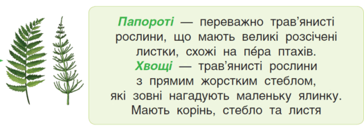 05006wb8-939d-526x182.png