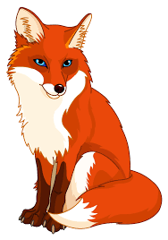 05006xl1-d9d9-188x268.png