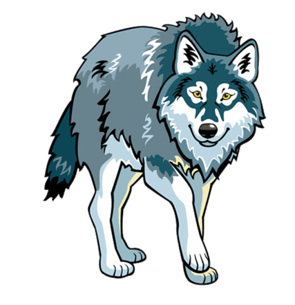 05006xl5-9d62-427x441.png