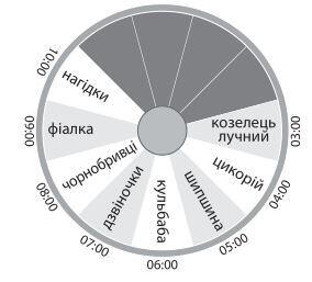 05006xt3-db62-284x257.jpg