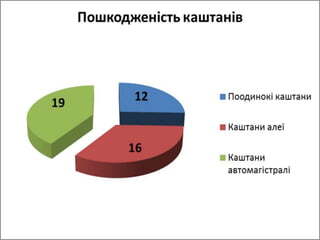 Екологічний проект