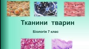 Тканини