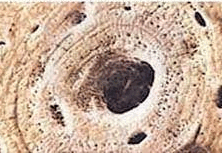 050076ot-3758-222x153.png