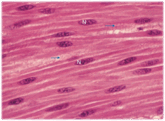 050076t5-4636-165x121.png