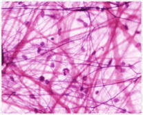 050076un-0069-207x166.png