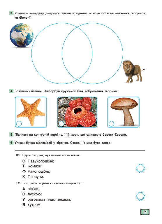 0500775k-6a5e-556x768.png