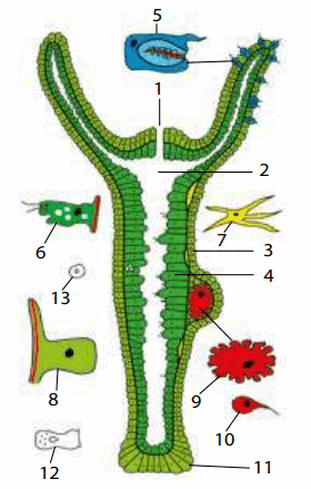 050078kl-3754-280x439.png