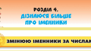 Змінюю іменники за числами