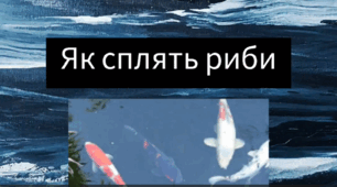 навчальне відео для дошкільнят: "Як сплять риби?"