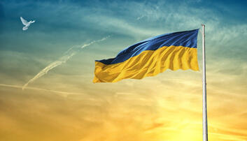 05007f13-ee4b-353x202.jpg